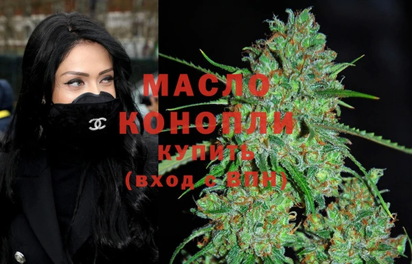 индика Зеленокумск