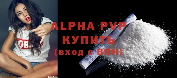 индика Зеленокумск