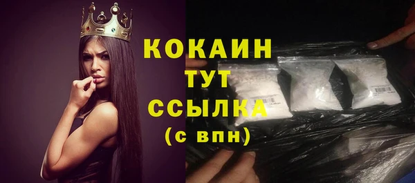 индика Зеленокумск