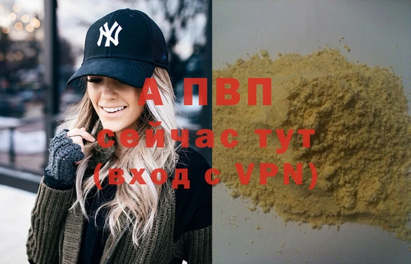 индика Зеленокумск