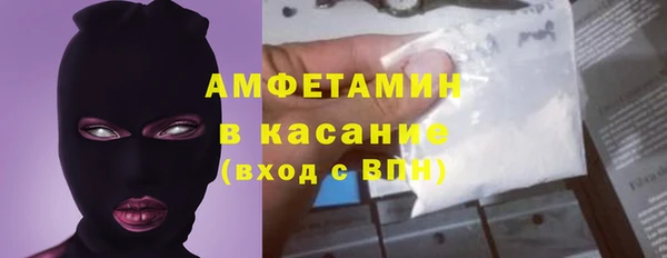 индика Зеленокумск