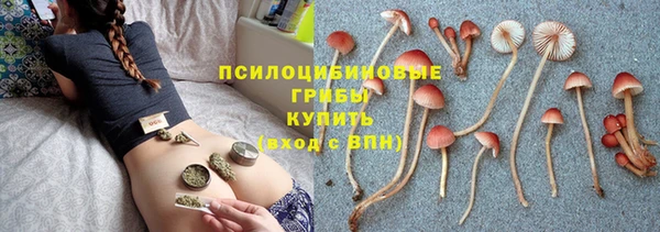 гидропоника Зерноград