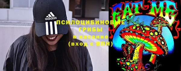 ECSTASY Зеленодольск