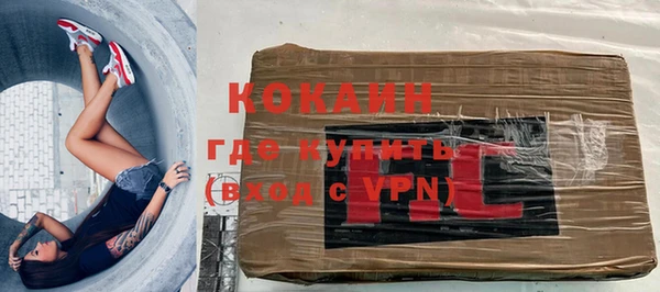 индика Зеленокумск