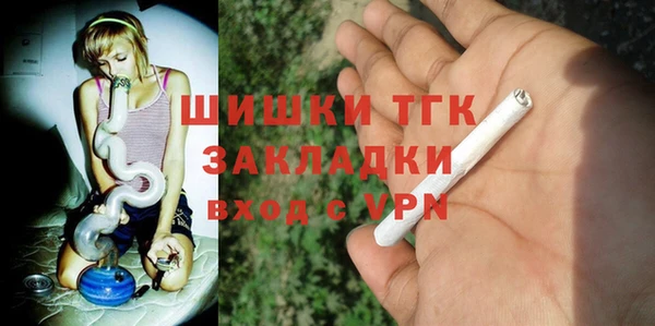индика Зеленокумск