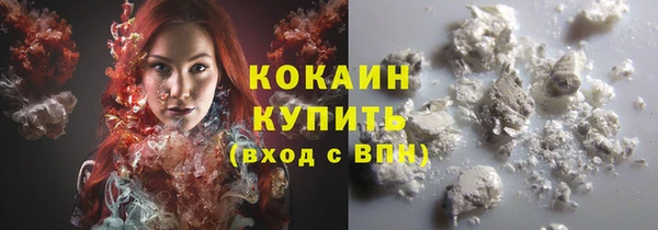 индика Зеленокумск