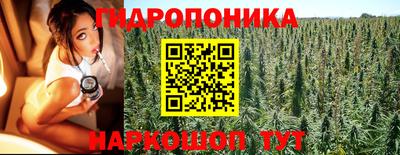 круглые Кохма