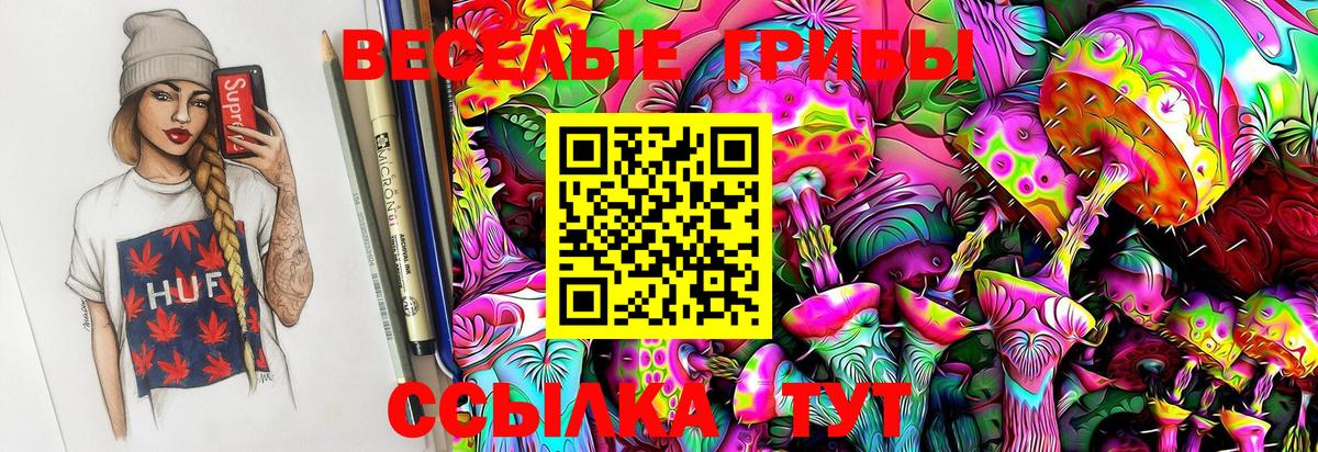 Псилоцибиновые грибы Cubensis  Вологда 