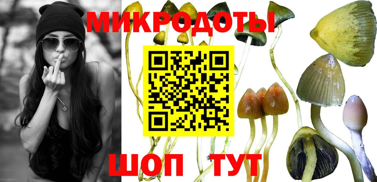 Псилоцибиновые грибы мицелий Вологда