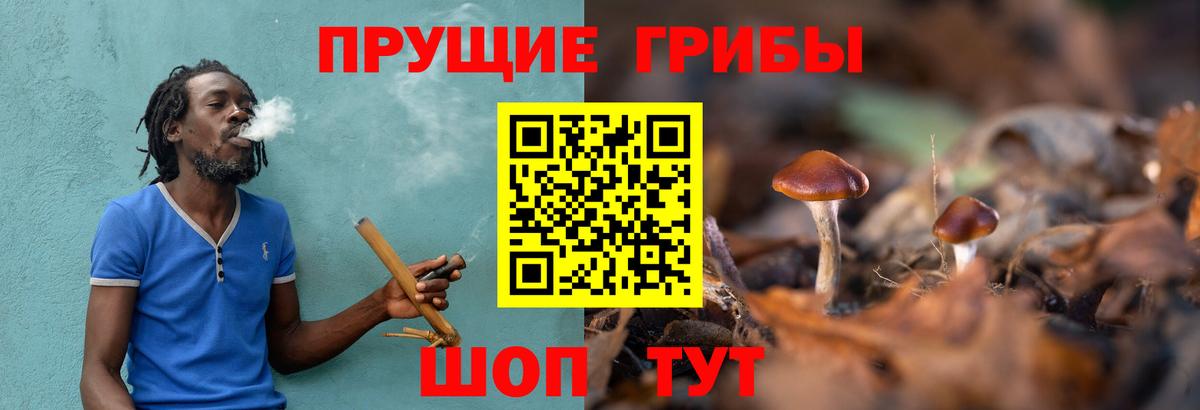 Вологда  Галлюциногенные грибы прущие грибы  купить наркотики цена  Вход с VPN 