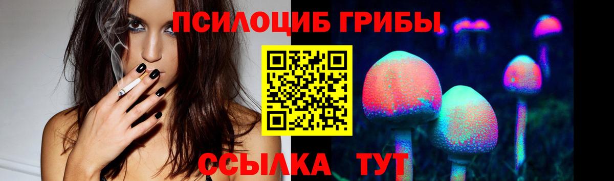 Галлюциногенные грибы Psilocybine cubensis Вологда